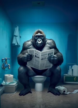 Poster Gorilla am Klo, perfekt für Deine Toilette oder Dein Badezimmer!